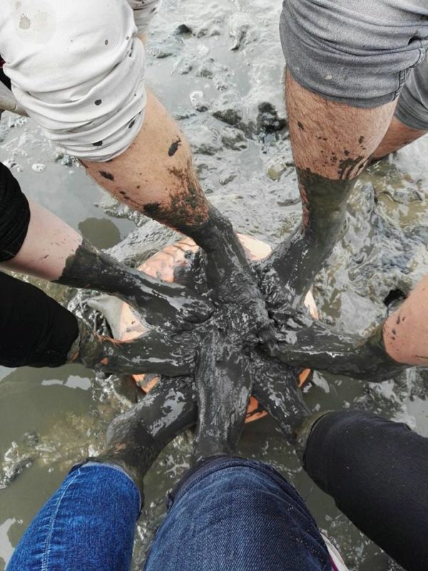 Wattenmeer WWF_1